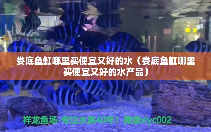 婁底魚缸哪里買便宜又好的水（婁底魚缸哪里買便宜又好的水產(chǎn)品）