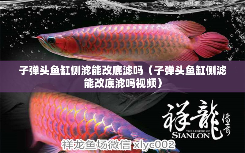 子彈頭魚缸側(cè)濾能改底濾嗎（子彈頭魚缸側(cè)濾能改底濾嗎視頻）