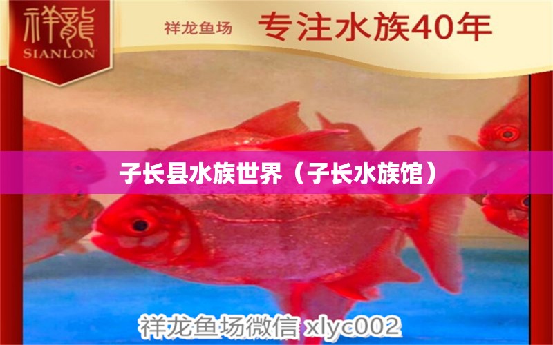 子長縣水族世界（子長水族館）