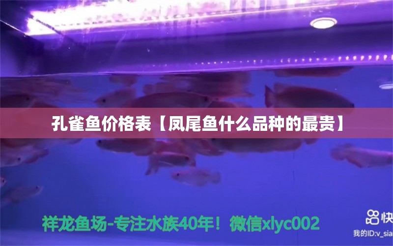 孔雀魚價格表【鳳尾魚什么品種的最貴】