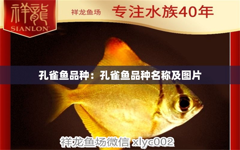 孔雀魚品種：孔雀魚品種名稱及圖片