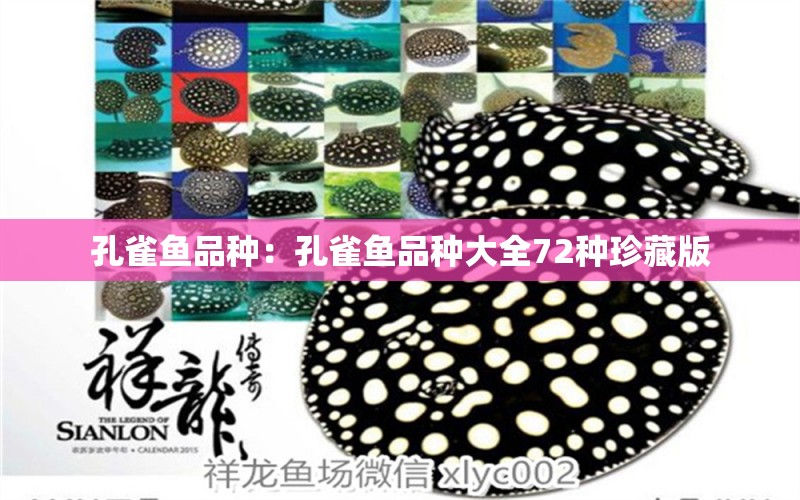 孔雀魚品種：孔雀魚品種大全72種珍藏版