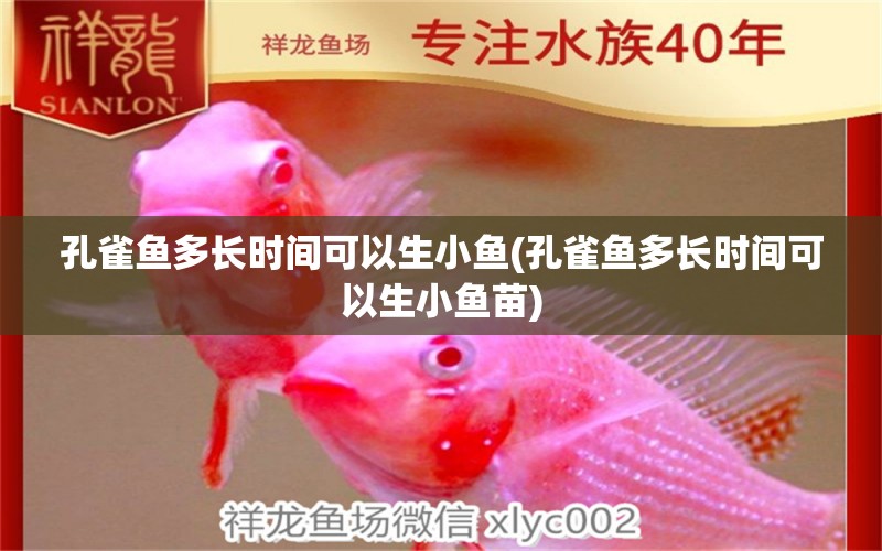 孔雀魚多長時間可以生小魚(孔雀魚多長時間可以生小魚苗) 鴨嘴鯊魚