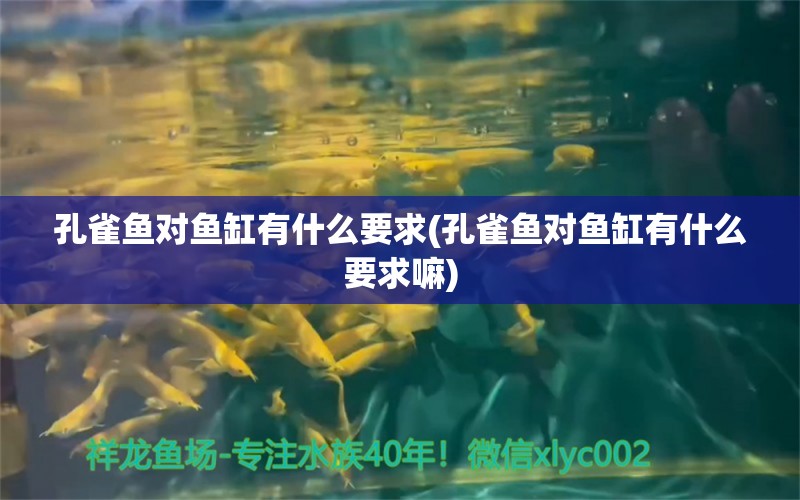 孔雀魚對魚缸有什么要求(孔雀魚對魚缸有什么要求嘛) 龍魚批發(fā) 第1張