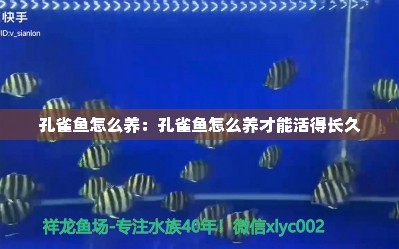 孔雀魚怎么養(yǎng)：孔雀魚怎么養(yǎng)才能活得長久