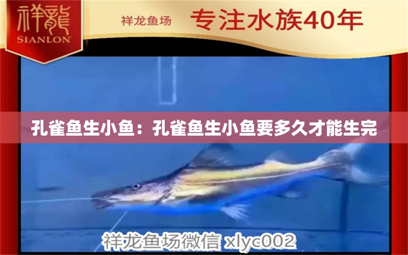 孔雀魚生小魚：孔雀魚生小魚要多久才能生完