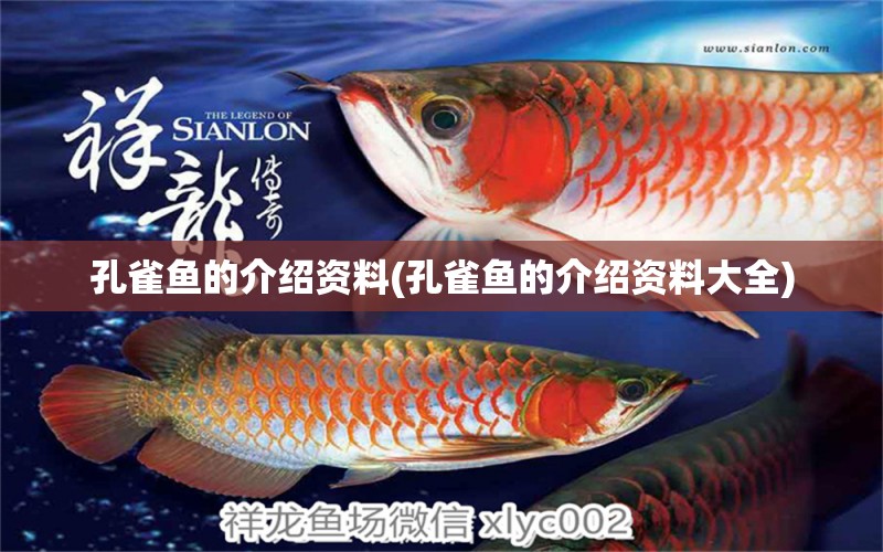 孔雀魚的介紹資料(孔雀魚的介紹資料大全) 帝王血鉆魚