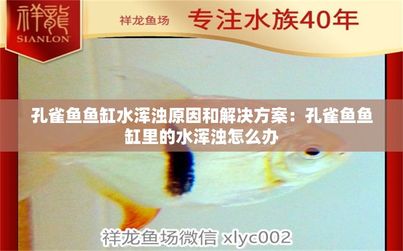 孔雀魚魚缸水渾濁原因和解決方案：孔雀魚魚缸里的水渾濁怎么辦