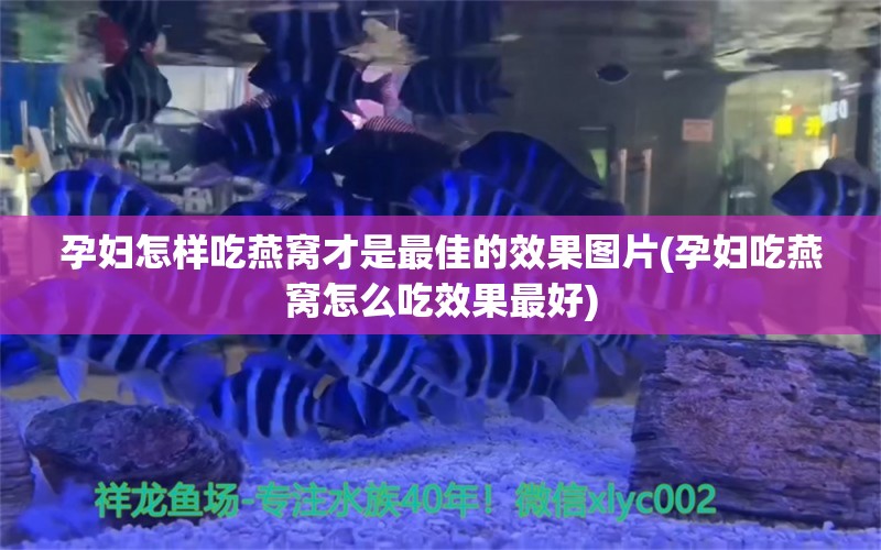 孕婦怎樣吃燕窩才是最佳的效果圖片(孕婦吃燕窩怎么吃效果最好) 馬來西亞燕窩 第2張