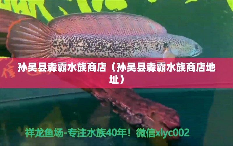 孫吳縣森霸水族商店（孫吳縣森霸水族商店地址）