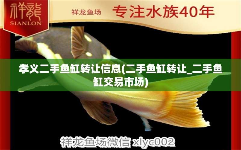 孝義二手魚缸轉(zhuǎn)讓信息(二手魚缸轉(zhuǎn)讓_二手魚缸交易市場) 祥龍金禾金龍魚