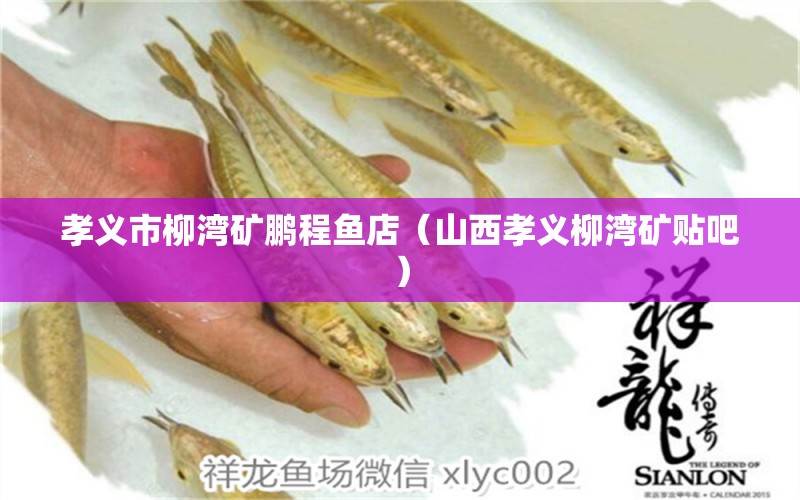 孝義市柳灣礦鵬程魚店（山西孝義柳灣礦貼吧） 全國水族館企業(yè)名錄