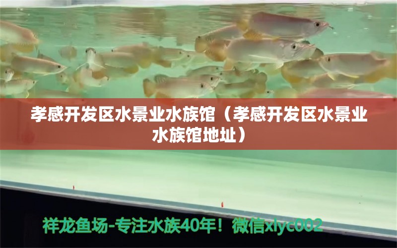 孝感開發(fā)區(qū)水景業(yè)水族館（孝感開發(fā)區(qū)水景業(yè)水族館地址）