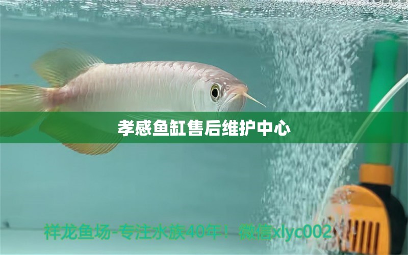 孝感魚缸售后維護中心