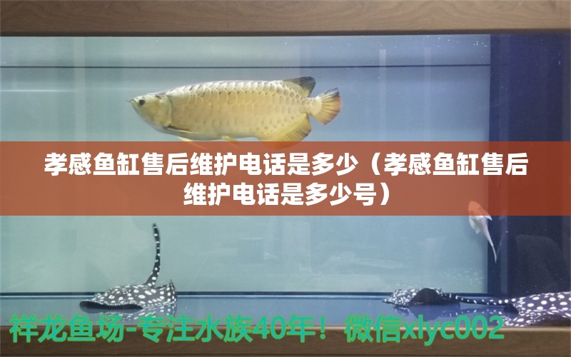 孝感魚缸售后維護電話是多少（孝感魚缸售后維護電話是多少號）