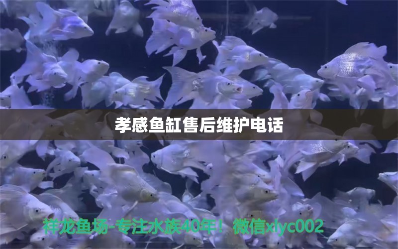 孝感魚缸售后維護(hù)電話 其他品牌魚缸