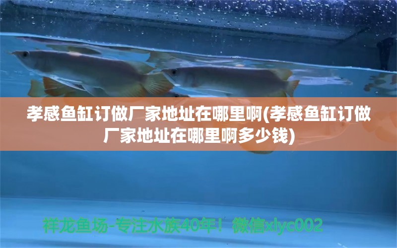 孝感魚缸訂做廠家地址在哪里啊(孝感魚缸訂做廠家地址在哪里啊多少錢) 白子銀龍魚苗