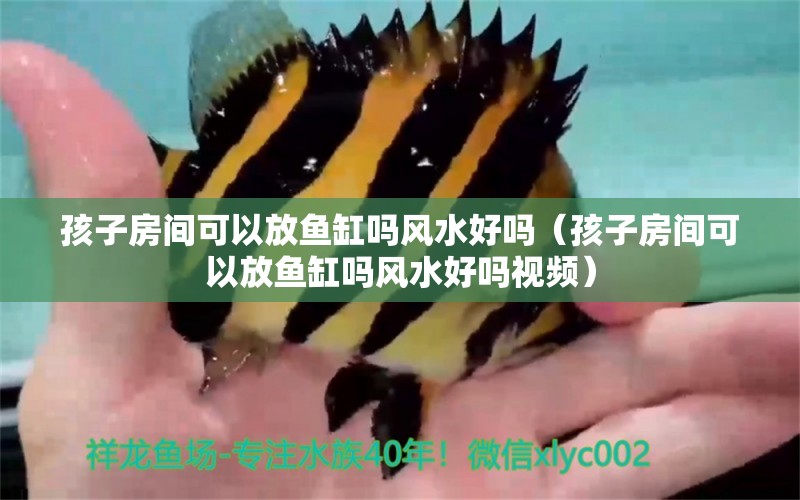 孩子房間可以放魚(yú)缸嗎風(fēng)水好嗎（孩子房間可以放魚(yú)缸嗎風(fēng)水好嗎視頻） 魚(yú)缸風(fēng)水