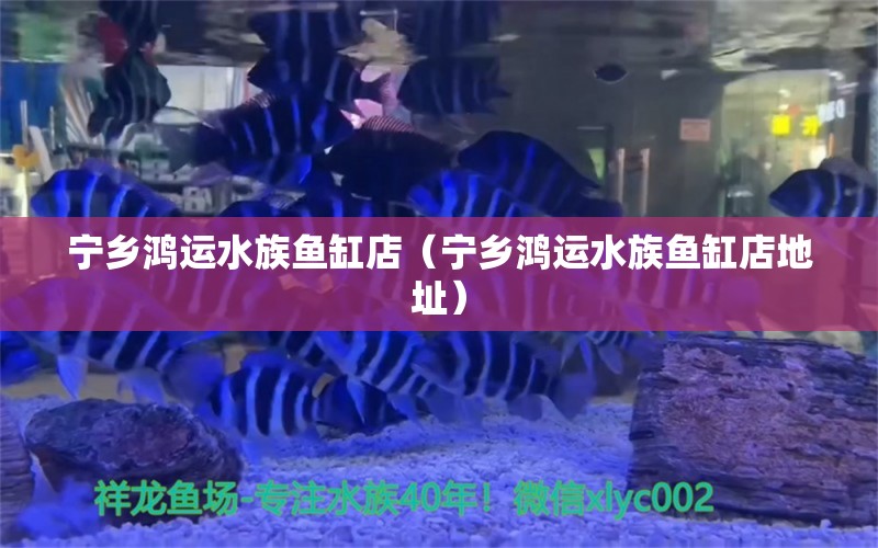 寧鄉(xiāng)鴻運(yùn)水族魚缸店（寧鄉(xiāng)鴻運(yùn)水族魚缸店地址）