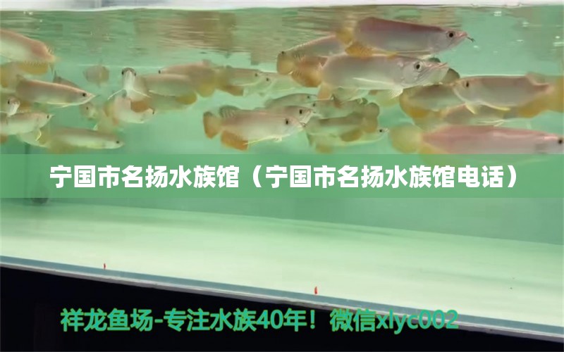 寧國(guó)市名揚(yáng)水族館（寧國(guó)市名揚(yáng)水族館電話） 全國(guó)水族館企業(yè)名錄