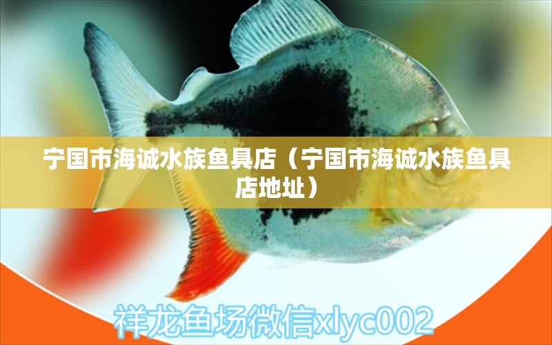 寧國市海誠水族魚具店（寧國市海誠水族魚具店地址） 全國水族館企業(yè)名錄