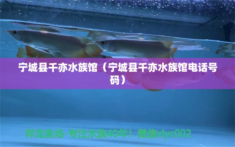 寧城縣千亦水族館（寧城縣千亦水族館電話號(hào)碼）