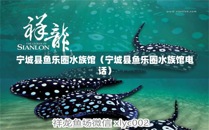 寧城縣魚樂圈水族館（寧城縣魚樂圈水族館電話） 全國水族館企業(yè)名錄