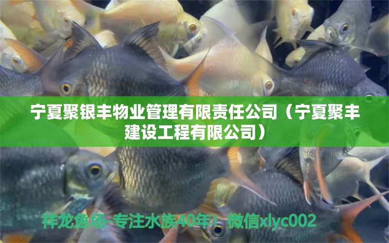 寧夏聚銀豐物業(yè)管理有限責(zé)任公司（寧夏聚豐建設(shè)工程有限公司）