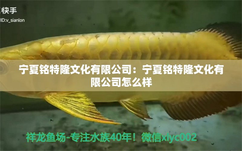 寧夏銘特隆文化有限公司：寧夏銘特隆文化有限公司怎么樣 全國水族館企業(yè)名錄