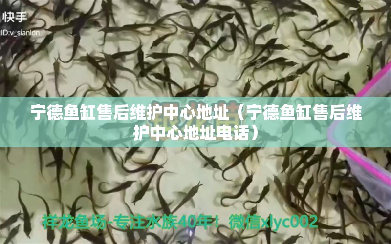 寧德魚(yú)缸售后維護(hù)中心地址（寧德魚(yú)缸售后維護(hù)中心地址電話）