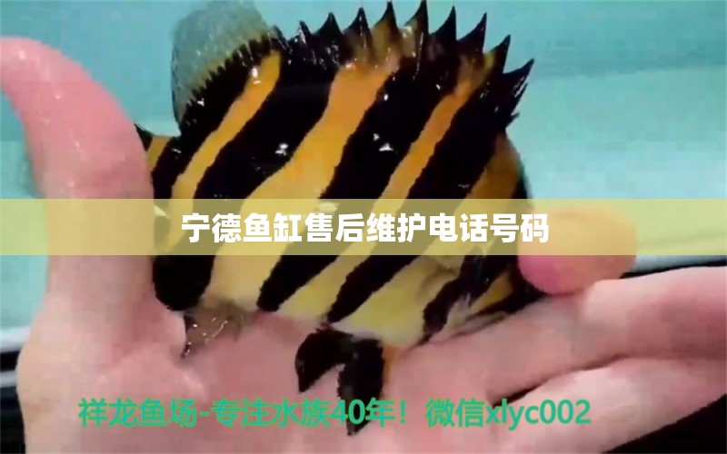 寧德魚缸售后維護(hù)電話號(hào)碼 其他品牌魚缸