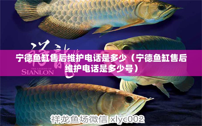 寧德魚缸售后維護(hù)電話是多少（寧德魚缸售后維護(hù)電話是多少號(hào)） 其他品牌魚缸