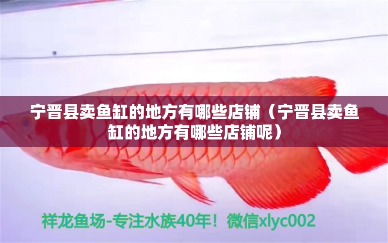 寧晉縣賣魚缸的地方有哪些店鋪（寧晉縣賣魚缸的地方有哪些店鋪呢）