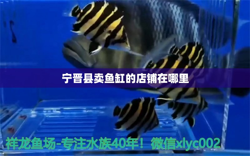 寧晉縣賣魚缸的店鋪在哪里