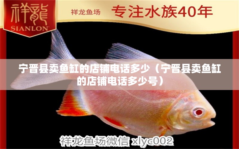 寧晉縣賣魚缸的店鋪電話多少（寧晉縣賣魚缸的店鋪電話多少號）