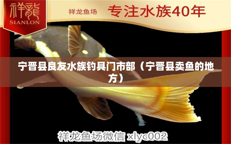 寧晉縣良友水族釣具門(mén)市部（寧晉縣賣魚(yú)的地方） 垂釣樂(lè)園