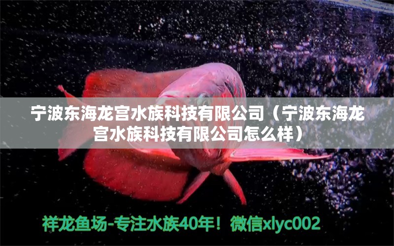 寧波東海龍宮水族科技有限公司（寧波東海龍宮水族科技有限公司怎么樣） 全國水族館企業(yè)名錄