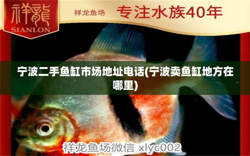 寧波二手魚缸市場地址電話(寧波賣魚缸地方在哪里) 刀魚魚