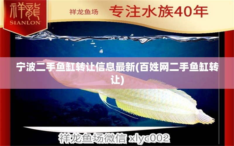 寧波二手魚(yú)缸轉(zhuǎn)讓信息最新(百姓網(wǎng)二手魚(yú)缸轉(zhuǎn)讓) 名貴錦鯉魚(yú)