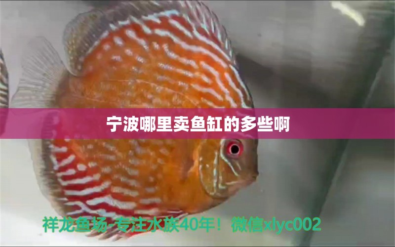 寧波哪里賣魚缸的多些啊 祥龍魚場