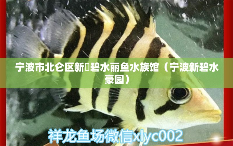 寧波市北侖區(qū)新碶碧水麗魚水族館（寧波新碧水豪園）