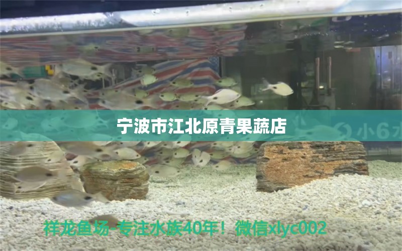 寧波市江北原青果蔬店 全國(guó)水族館企業(yè)名錄