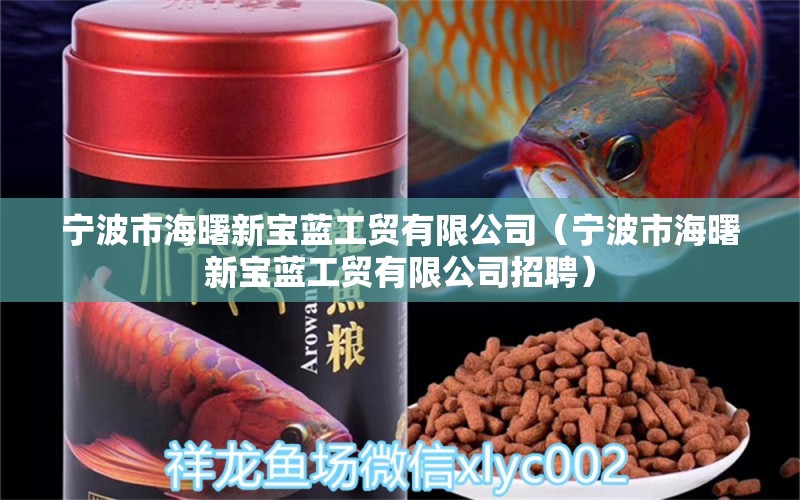 寧波市海曙新寶藍工貿(mào)有限公司（寧波市海曙新寶藍工貿(mào)有限公司招聘）