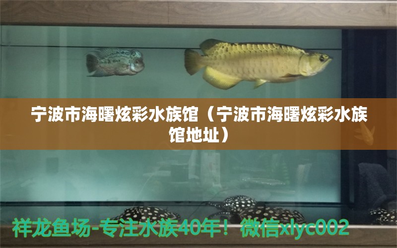 寧波市海曙炫彩水族館（寧波市海曙炫彩水族館地址）