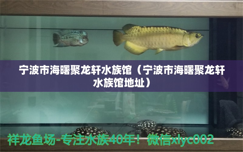 寧波市海曙聚龍軒水族館（寧波市海曙聚龍軒水族館地址）