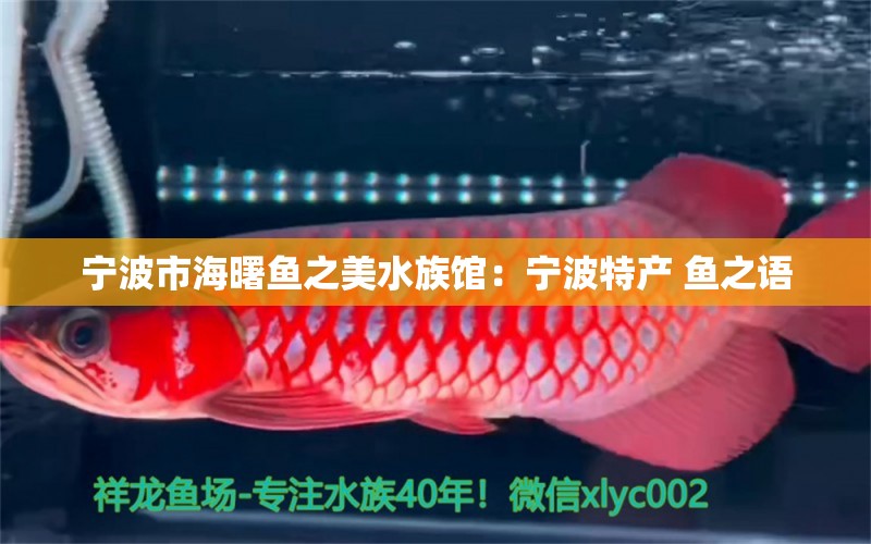 寧波市海曙魚之美水族館：寧波特產(chǎn) 魚之語 全國水族館企業(yè)名錄