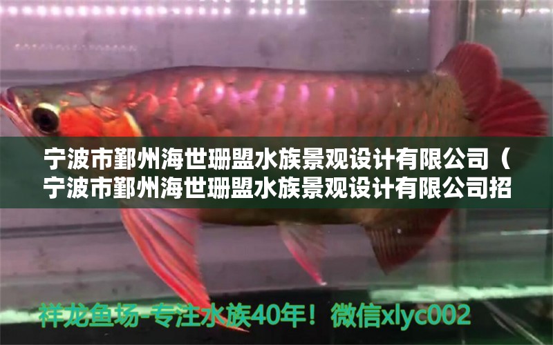 寧波市鄞州海世珊盟水族景觀設(shè)計有限公司（寧波市鄞州海世珊盟水族景觀設(shè)計有限公司招聘） 廣州景觀設(shè)計