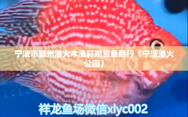 寧波市鄞州潘火木漁軒觀賞魚商行（寧波潘火公園）