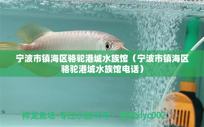 寧波市鎮(zhèn)海區(qū)駱駝港城水族館（寧波市鎮(zhèn)海區(qū)駱駝港城水族館電話） 全國水族館企業(yè)名錄