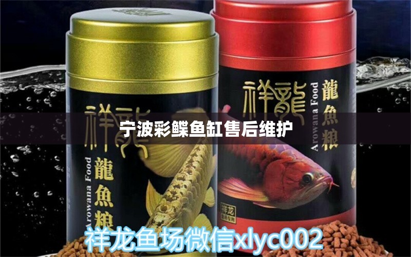 寧波彩鰈魚缸售后維護(hù)